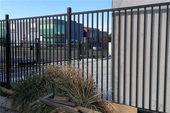 8FT Tall Tubular Steel Fencing Driveway Gates Wrought Iron Fence