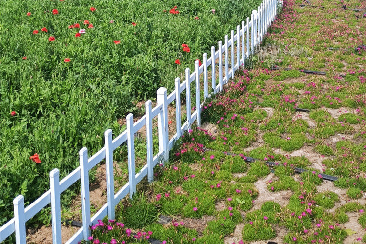 Galvanized Steel Tubular Metal Fence Q195 Or Q235 Black Powder Coated